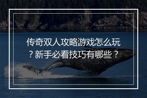 传奇双人攻略游戏怎么玩？新手必看技巧有哪些？