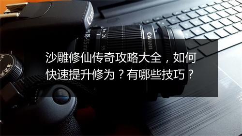 沙雕修仙传奇攻略大全，如何快速提升修为？有哪些技巧？
