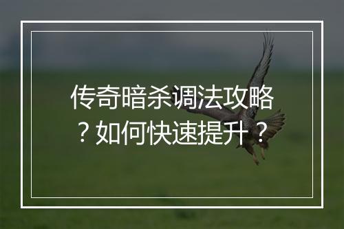 传奇暗杀调法攻略？如何快速提升？