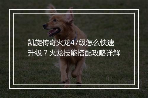 凯旋传奇火龙47级怎么快速升级？火龙技能搭配攻略详解