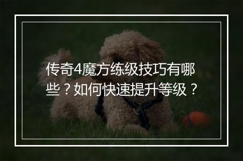 传奇4魔方练级技巧有哪些？如何快速提升等级？