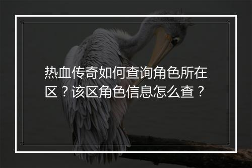 热血传奇如何查询角色所在区？该区角色信息怎么查？