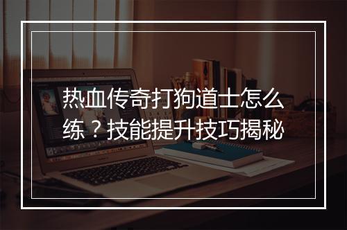 热血传奇打狗道士怎么练？技能提升技巧揭秘