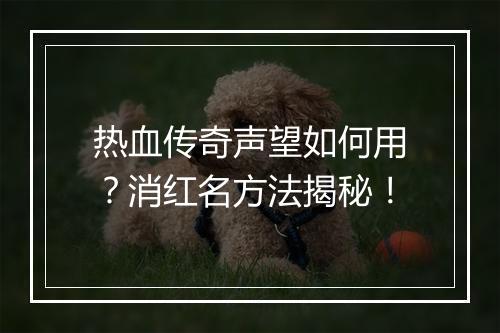热血传奇声望如何用？消红名方法揭秘！