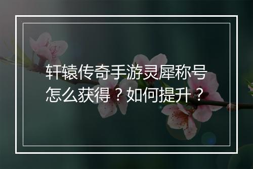 轩辕传奇手游灵犀称号怎么获得？如何提升？