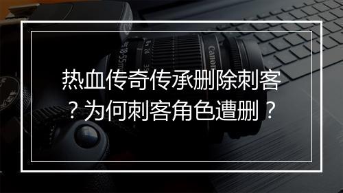 热血传奇传承删除刺客？为何刺客角色遭删？