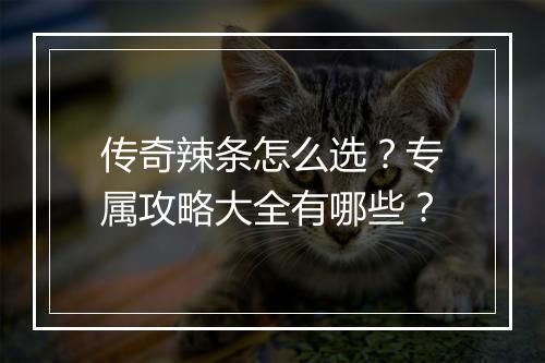 传奇辣条怎么选？专属攻略大全有哪些？