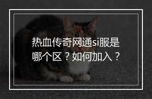 热血传奇网通si服是哪个区？如何加入？