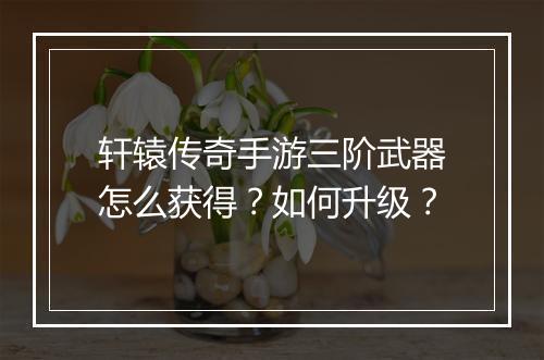 轩辕传奇手游三阶武器怎么获得？如何升级？