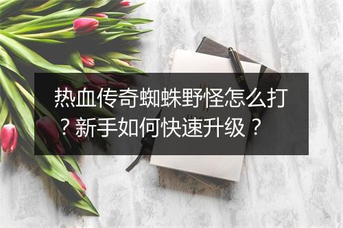 热血传奇蜘蛛野怪怎么打？新手如何快速升级？