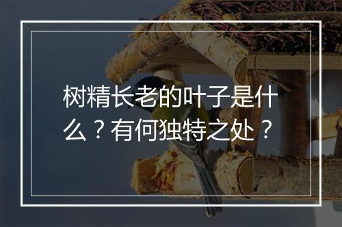 树精长老的叶子是什么？有何独特之处？