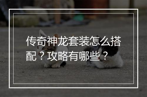 传奇神龙套装怎么搭配？攻略有哪些？