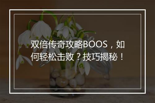 双倍传奇攻略BOOS，如何轻松击败？技巧揭秘！