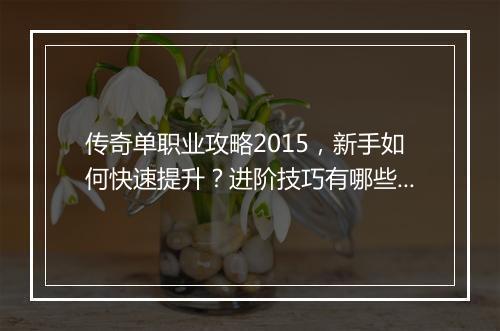 传奇单职业攻略2015，新手如何快速提升？进阶技巧有哪些？