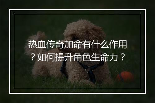 热血传奇加命有什么作用？如何提升角色生命力？