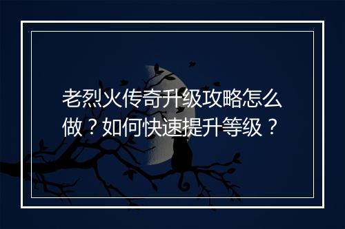 老烈火传奇升级攻略怎么做？如何快速提升等级？