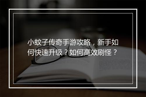 小蚊子传奇手游攻略，新手如何快速升级？如何高效刷怪？