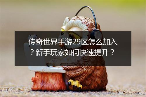 传奇世界手游29区怎么加入？新手玩家如何快速提升？