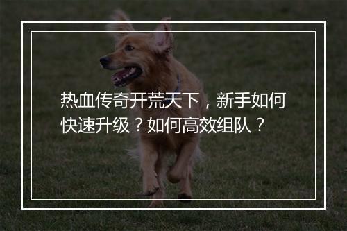 热血传奇开荒天下，新手如何快速升级？如何高效组队？