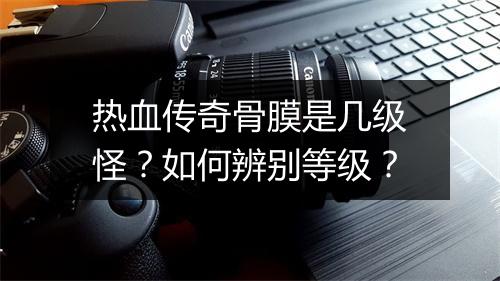 热血传奇骨膜是几级怪？如何辨别等级？
