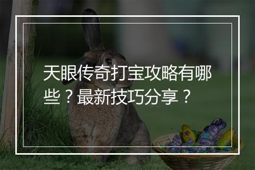 天眼传奇打宝攻略有哪些？最新技巧分享？