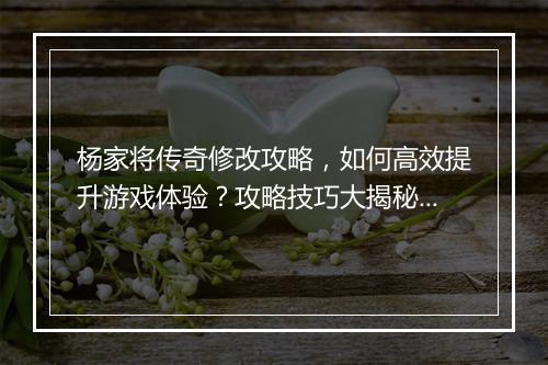 杨家将传奇修改攻略，如何高效提升游戏体验？攻略技巧大揭秘！