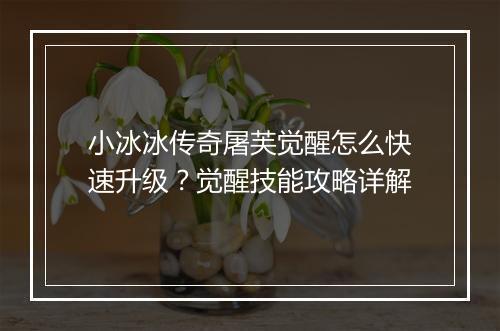 小冰冰传奇屠芙觉醒怎么快速升级？觉醒技能攻略详解