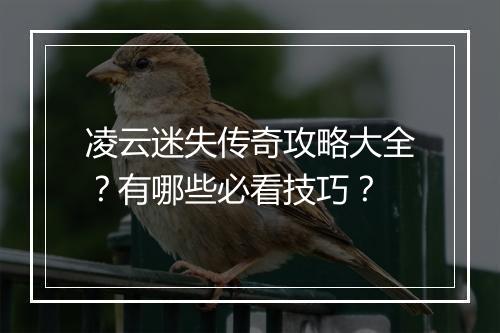 凌云迷失传奇攻略大全？有哪些必看技巧？