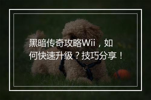 黑暗传奇攻略Wii，如何快速升级？技巧分享！