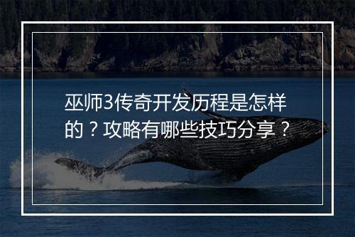 巫师3传奇开发历程是怎样的？攻略有哪些技巧分享？