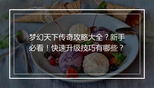 梦幻天下传奇攻略大全？新手必看！快速升级技巧有哪些？