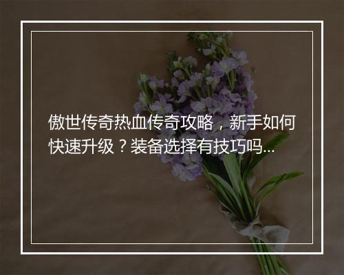 傲世传奇热血传奇攻略，新手如何快速升级？装备选择有技巧吗？