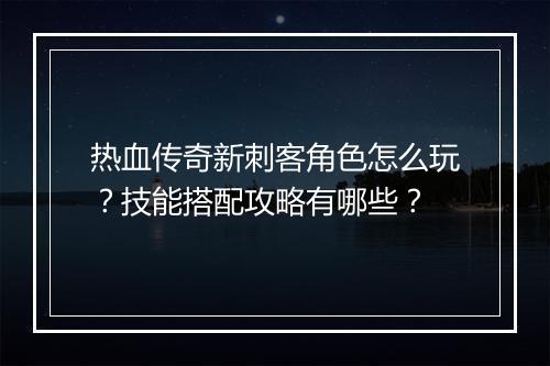 热血传奇新刺客角色怎么玩？技能搭配攻略有哪些？