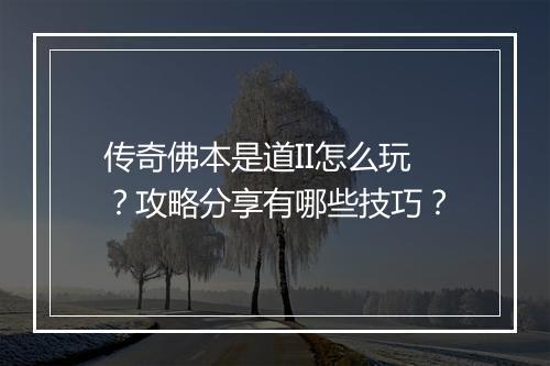 传奇佛本是道II怎么玩？攻略分享有哪些技巧？