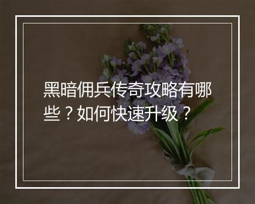 黑暗佣兵传奇攻略有哪些？如何快速升级？
