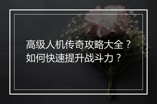 高级人机传奇攻略大全？如何快速提升战斗力？