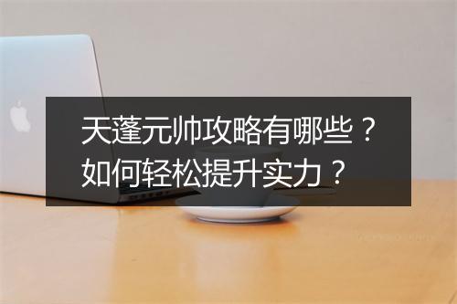 天蓬元帅攻略有哪些？如何轻松提升实力？