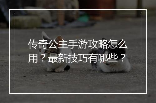 传奇公主手游攻略怎么用？最新技巧有哪些？