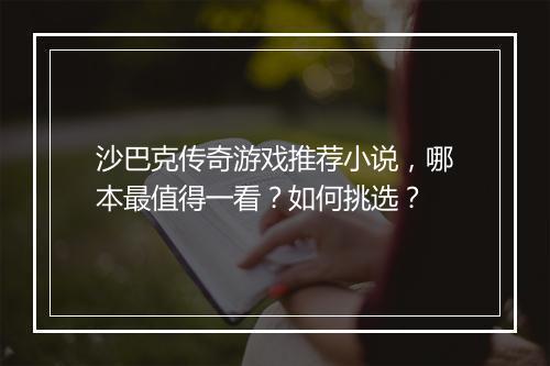 沙巴克传奇游戏推荐小说，哪本最值得一看？如何挑选？