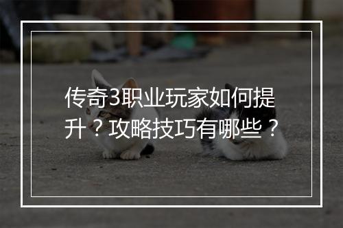 传奇3职业玩家如何提升？攻略技巧有哪些？