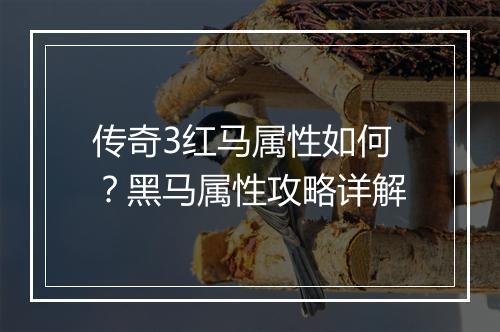 传奇3红马属性如何？黑马属性攻略详解