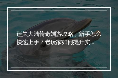迷失大陆传奇端游攻略，新手怎么快速上手？老玩家如何提升实力？