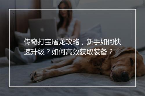 传奇打宝屠龙攻略，新手如何快速升级？如何高效获取装备？