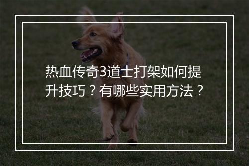 热血传奇3道士打架如何提升技巧？有哪些实用方法？
