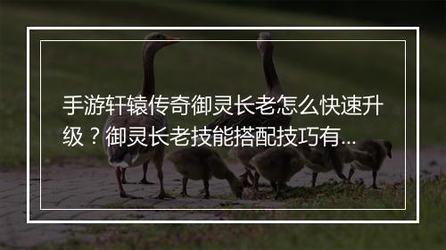 手游轩辕传奇御灵长老怎么快速升级？御灵长老技能搭配技巧有哪些？