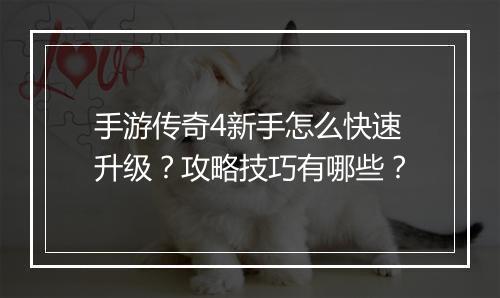手游传奇4新手怎么快速升级？攻略技巧有哪些？