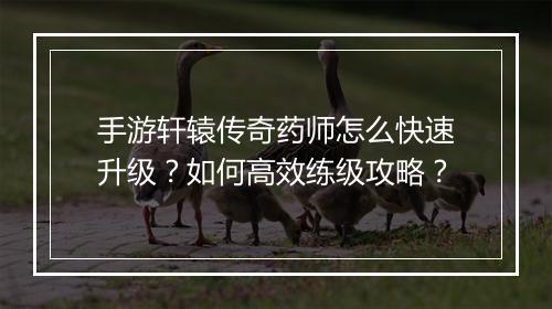 手游轩辕传奇药师怎么快速升级？如何高效练级攻略？