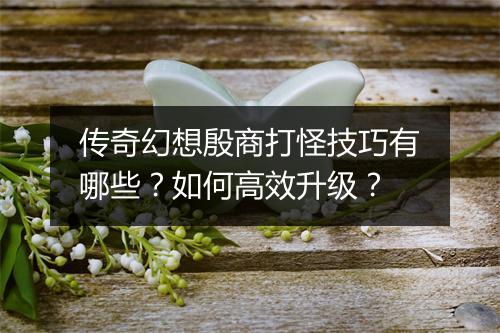 传奇幻想殷商打怪技巧有哪些？如何高效升级？