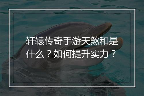 轩辕传奇手游天煞和是什么？如何提升实力？
