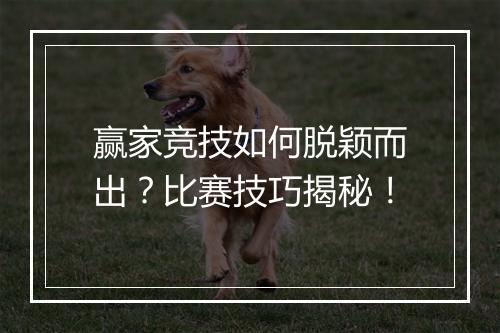 赢家竞技如何脱颖而出？比赛技巧揭秘！